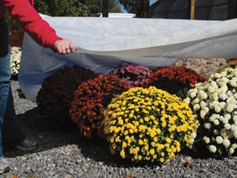 Non Woven Fleece Cover